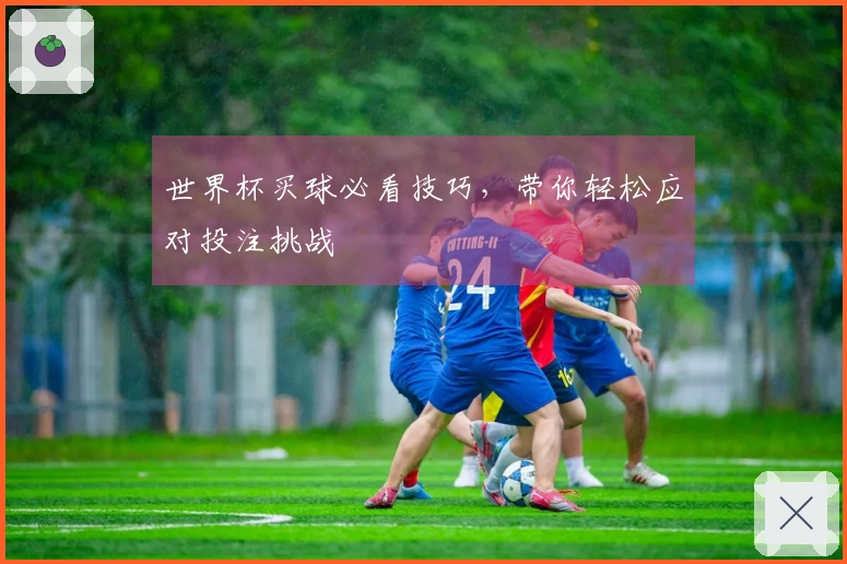 世界杯买球必看技巧，带你轻松应对投注挑战