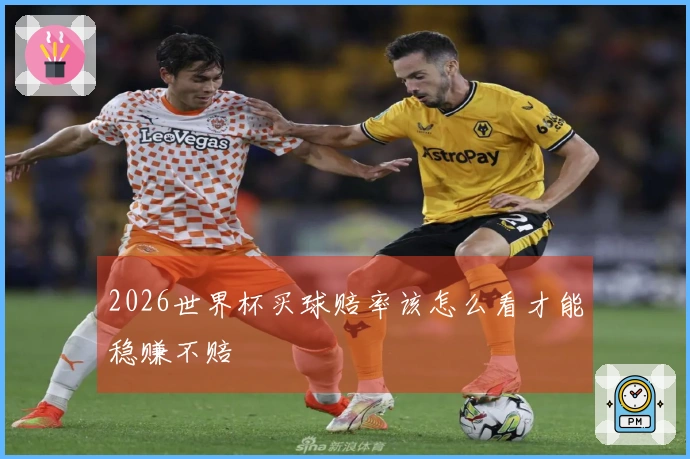 2026世界杯买球赔率该怎么看才能稳赚不赔