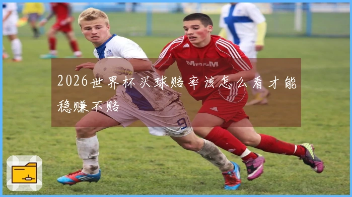 2026世界杯买球赔率该怎么看才能稳赚不赔