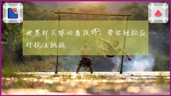 世界杯买球必看技巧，带你轻松应对投注挑战