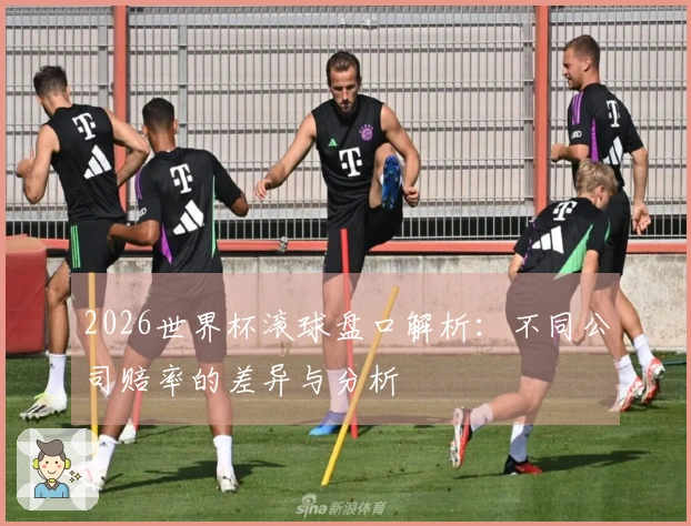2026世界杯滚球盘口解析：不同公司赔率的差异与分析