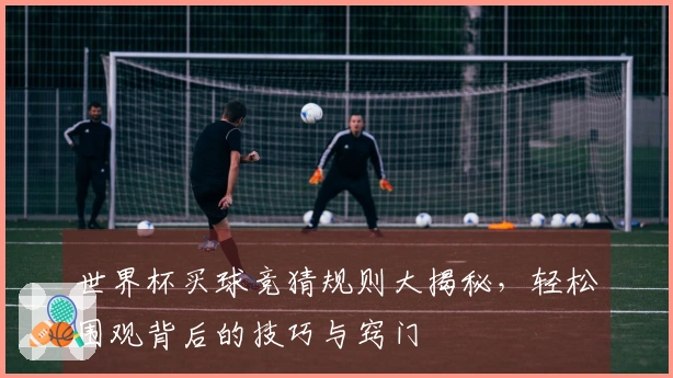 世界杯买球竞猜规则大揭秘，轻松围观背后的技巧与窍门